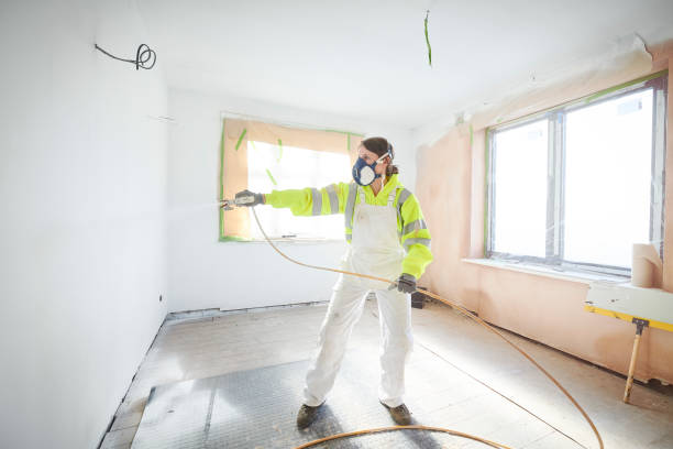 Best Emergency Mold Remediation  in Tampa, FL