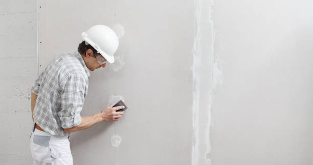 Best Airborne Mold Testing  in Tampa, FL