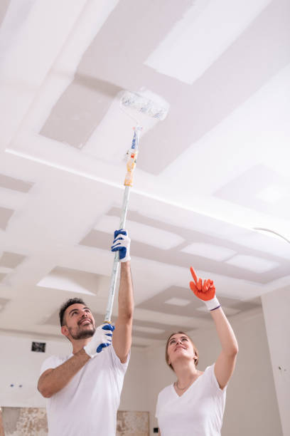 Mold Odor Removal Services in Tampa, FL