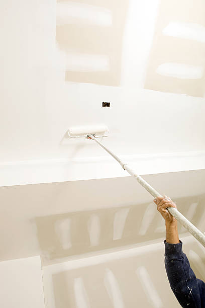  Tampa, FL Mold Removal Pros