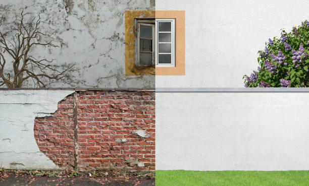 Tampa, FL Mold Removal Company