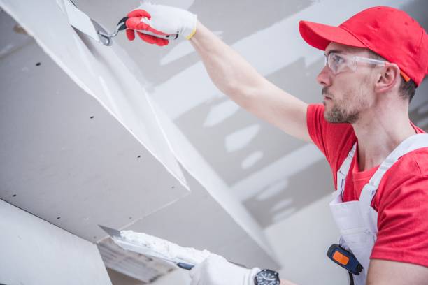 Best Water Damage & Mold Remediation  in Tampa, FL